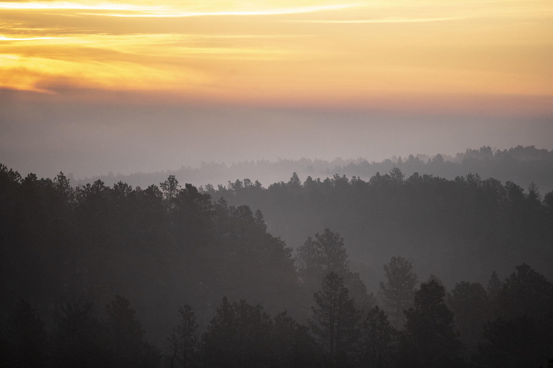 Custer State Park